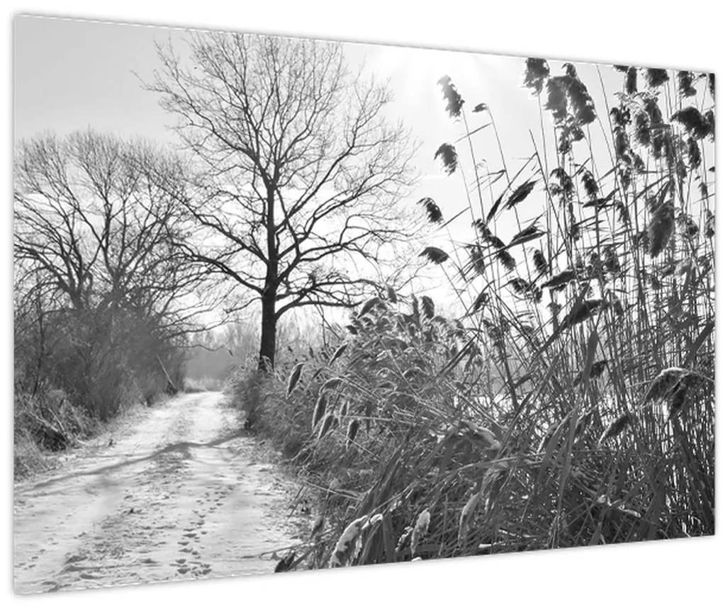 Obraz - Pole v zime (90x60 cm)