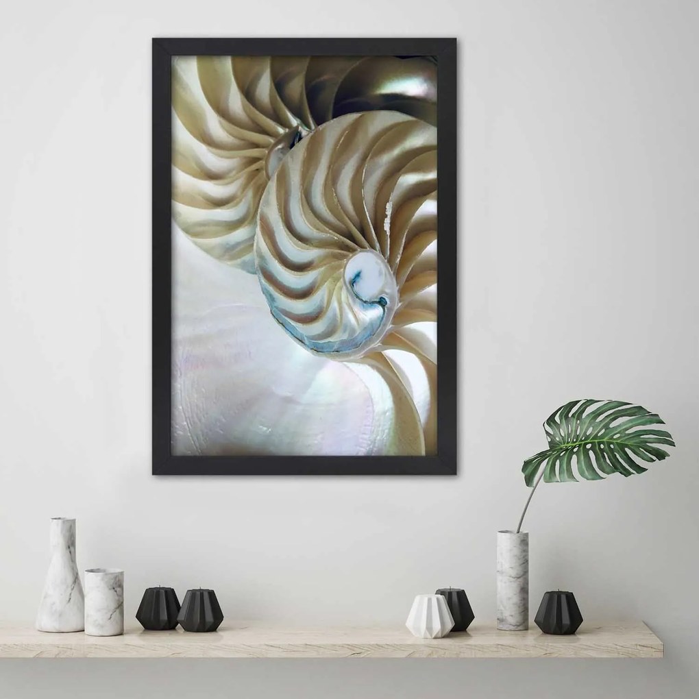 Gario Plagát Vnútro škrupiny Farba rámu: Bez rámu, Rozmery: 30 x 45 cm