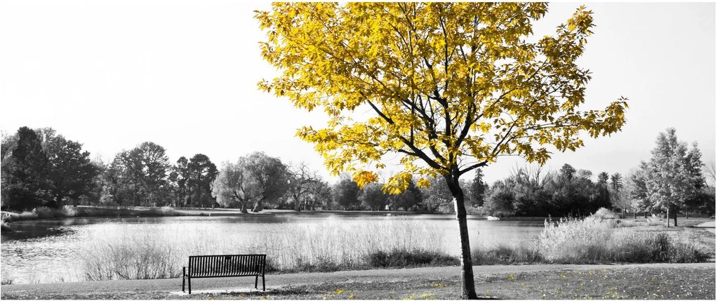 Obraz - Odpočinok v parku (120x50 cm)