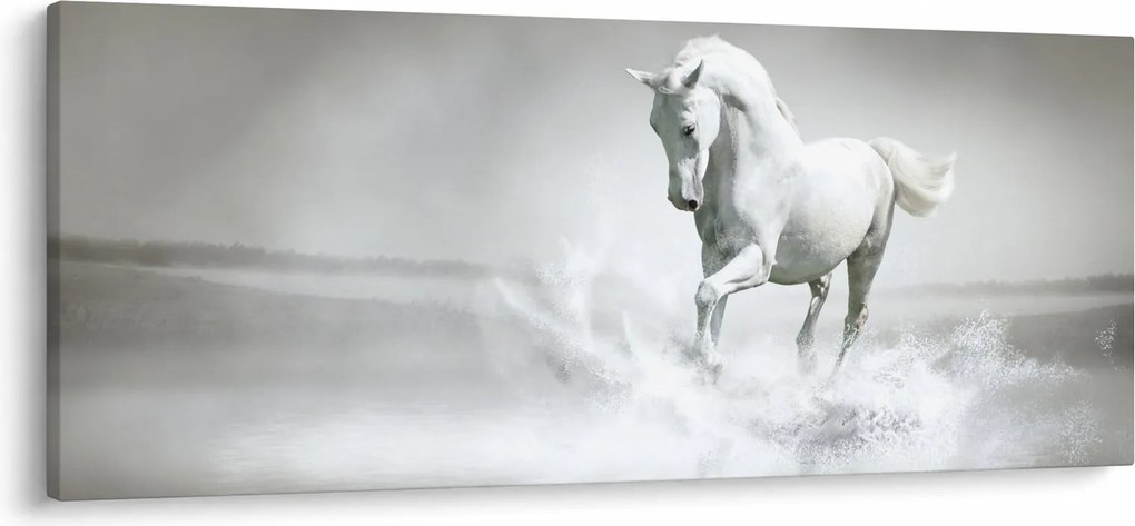 Obraz - Biely kôň (120x50 cm)