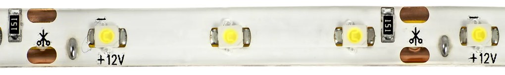 ECOLIGHT LED pásik - SMD 2835 - 5m - 60LED/m - 4,8 W/m - IP65 - neutrálna biela