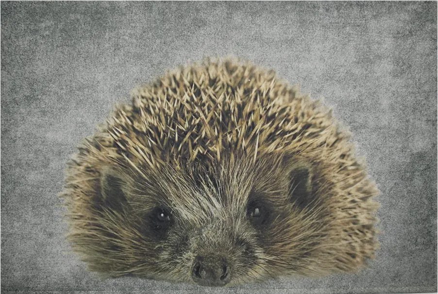 Šedá podlahová rohožka Ježek - 75 * 50 * 1cm