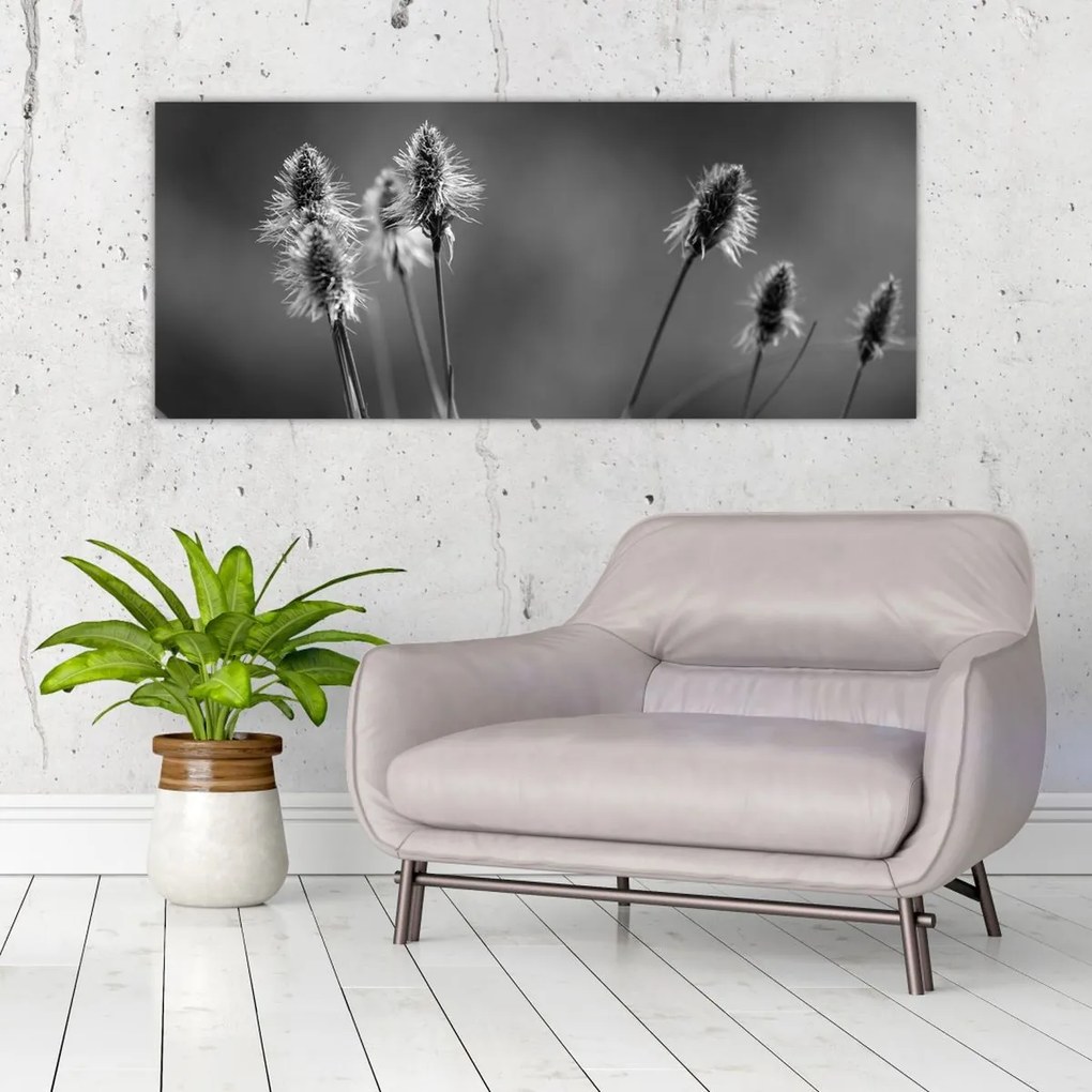 Obraz - Béžová soft grass N⁰2 (120x50 cm)