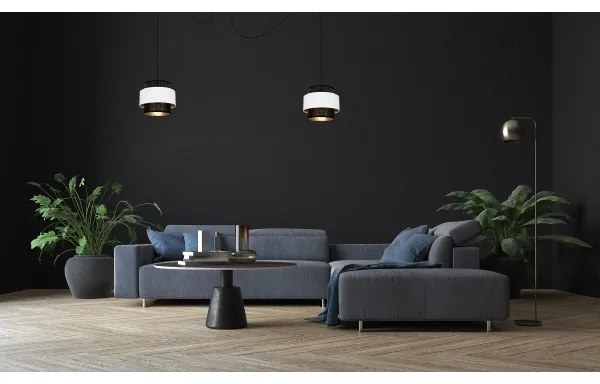 Luster na lanku NESS 2xE27/60W/230V pavúk čierna/biela