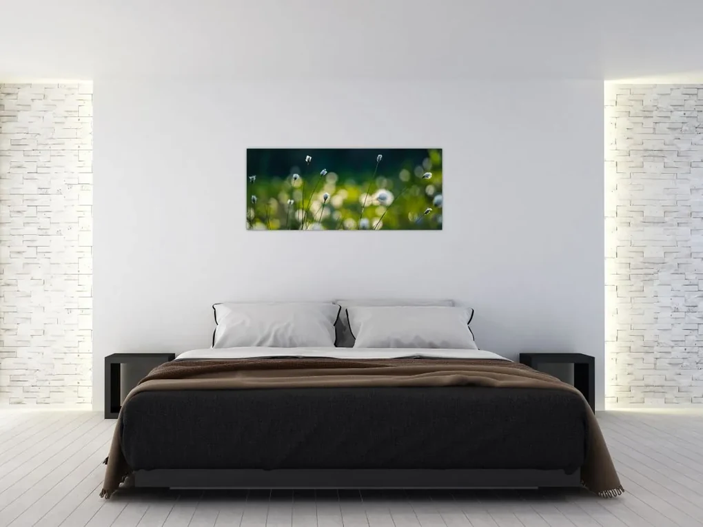 Obraz - Tráva (120x50 cm)