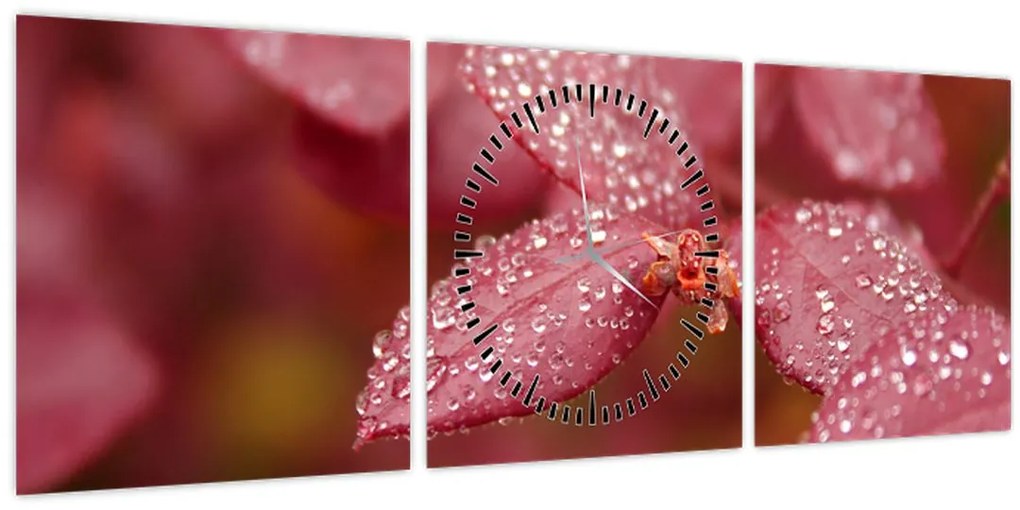 Obraz - Makro snímka lístka (s hodinami) (90x30 cm)