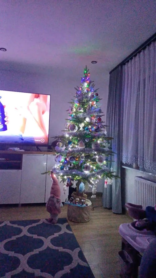 Smrek Bavorský na pni 3D- 220cm