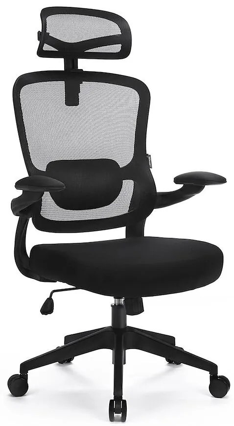 Kancelárske kreslo Ergo Basic Lv0652