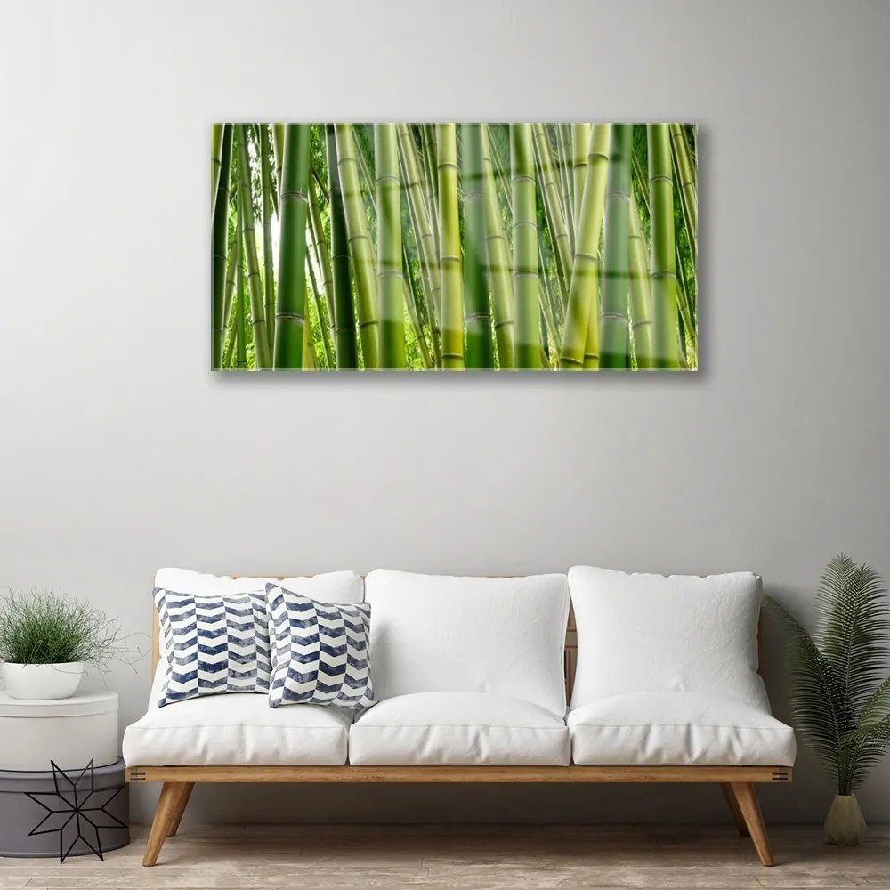 Skleneny obraz Bambusový les bambusové výhonky 125x50 cm