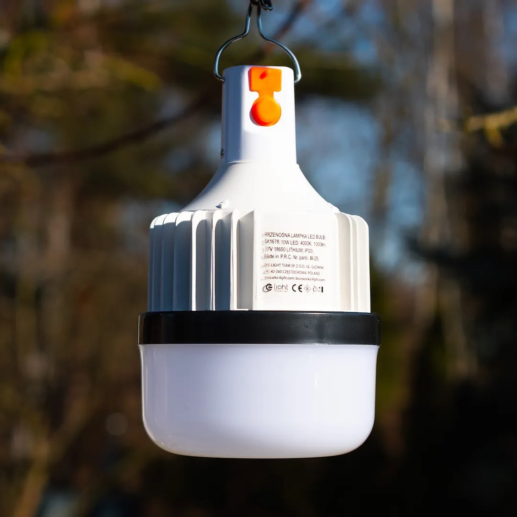 Ecolamp Závesný LED lampáš Bulb, 1x LED 10w