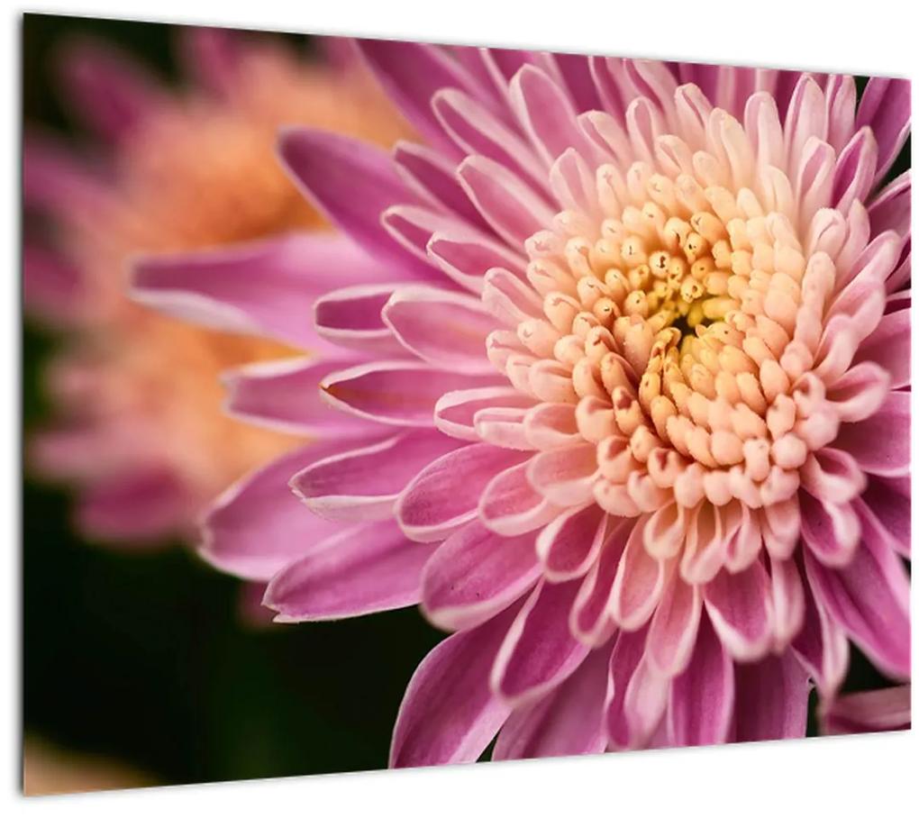 Detailný obraz kvetu (70x50 cm)