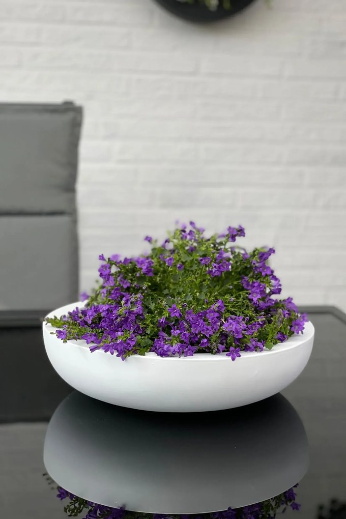 Okrasná miska PLANA, sklolaminát, 11xØ43 cm, biela