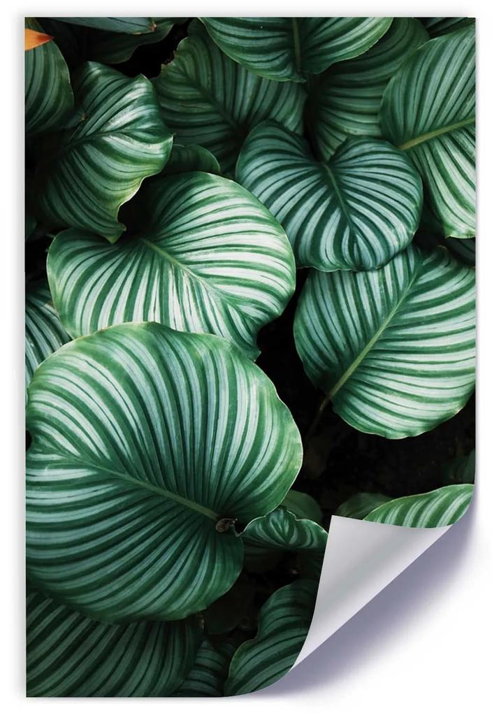 Gario Plagát Zelené rastliny s listami Farba rámu: Bez rámu, Rozmery: 20 x 30 cm