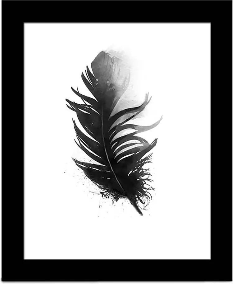 Obraz Alpyros Feather, 23 × 28 cm