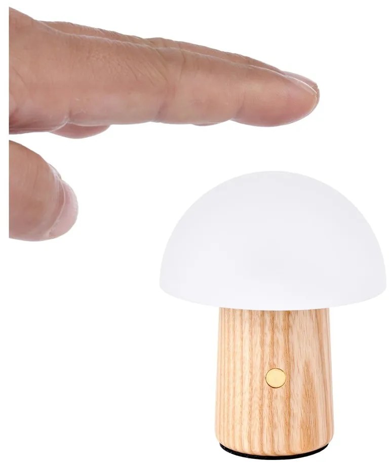 LED stolová lampa z jaseňového dreva so stmievačom v prírodnej farbe (výška 7 cm) Alice – Gingko