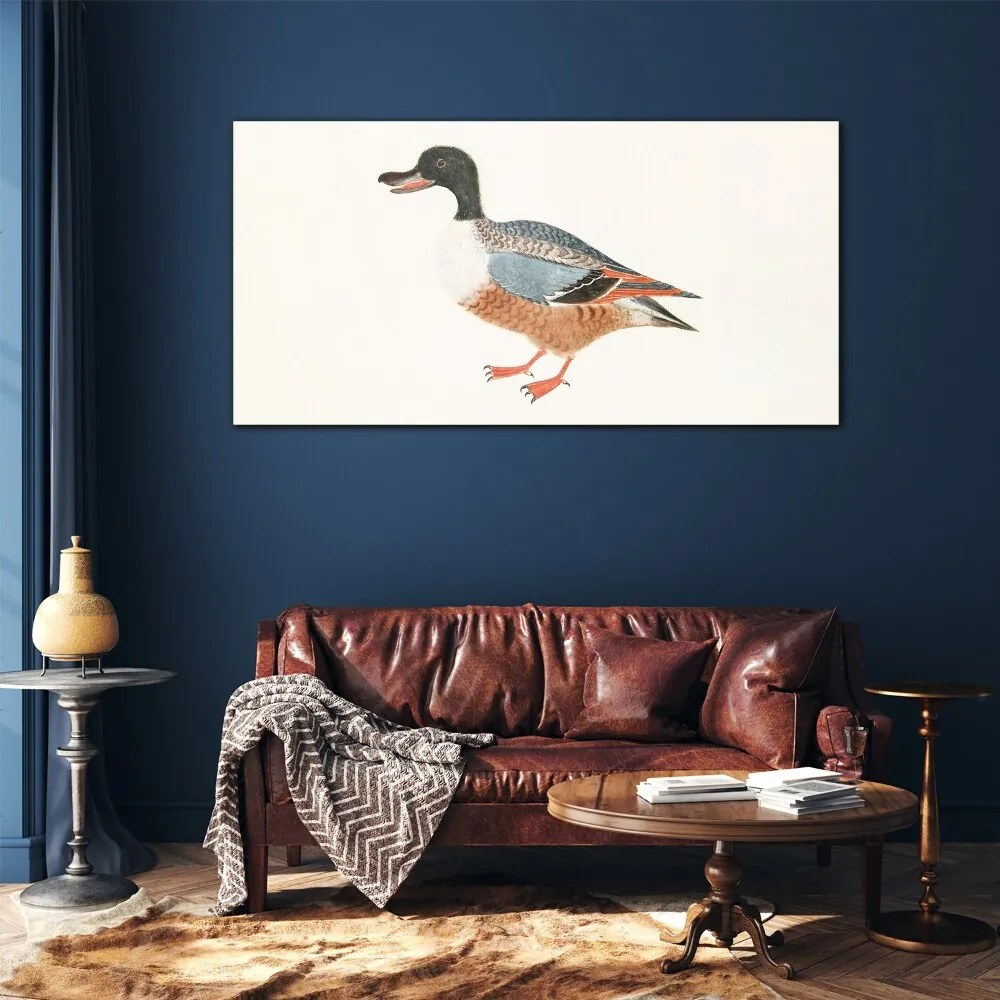 Obraz na skle Kreslenie zvierat kačica pera