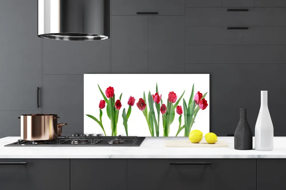 Sklenený obklad Do kuchyne Tulipány kvety rastlina 120x60 cm