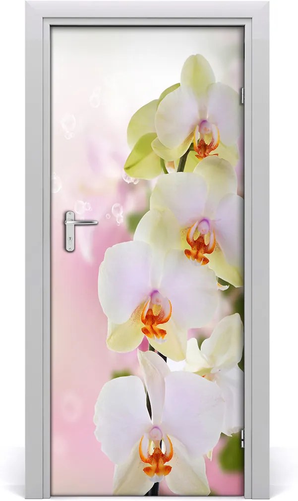 Samolepící fototapeta na dveře Bílá orchidej