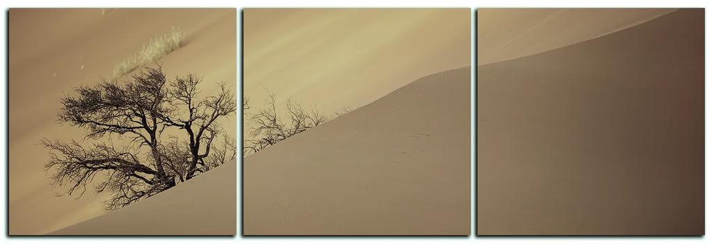 Obraz na plátne - Červené piesočné duny - panoráma 5133FB (150x50 cm)