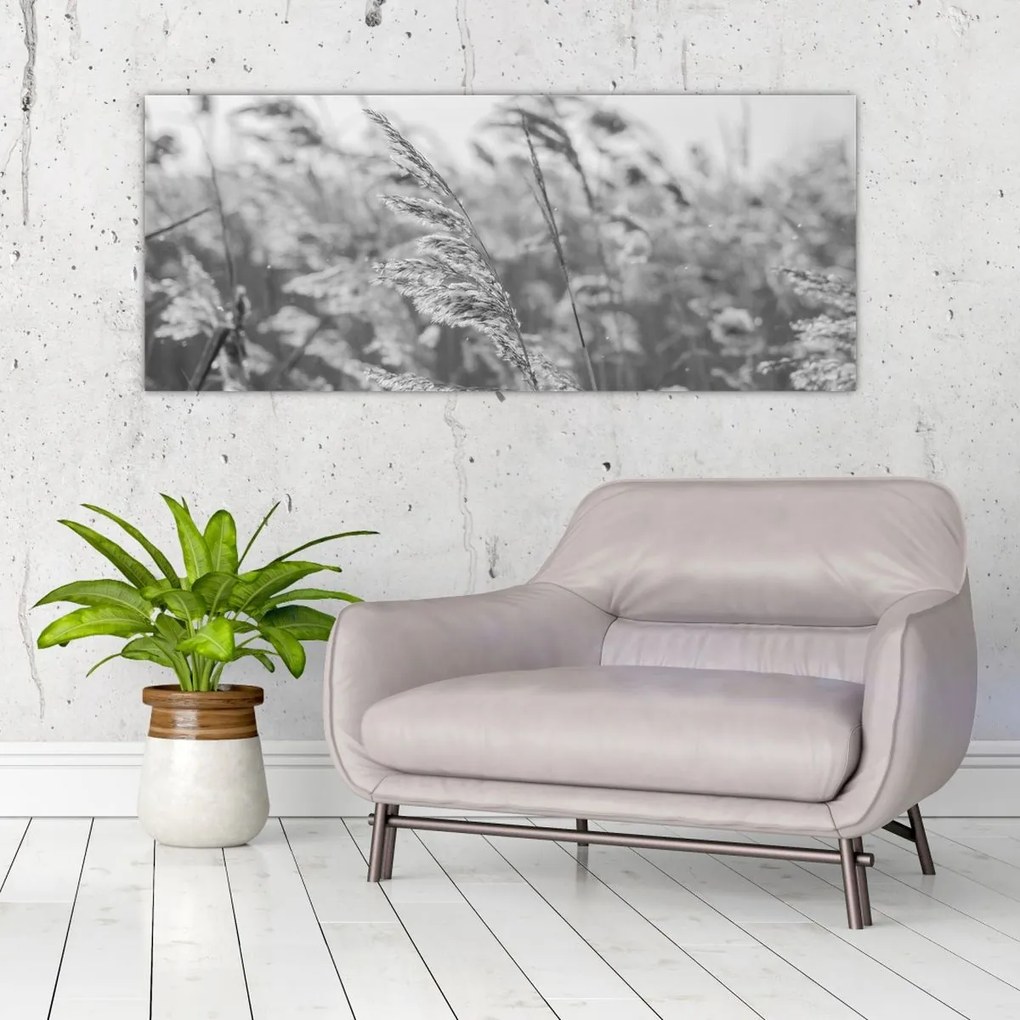 Obraz - Tráva vo vetre (120x50 cm)