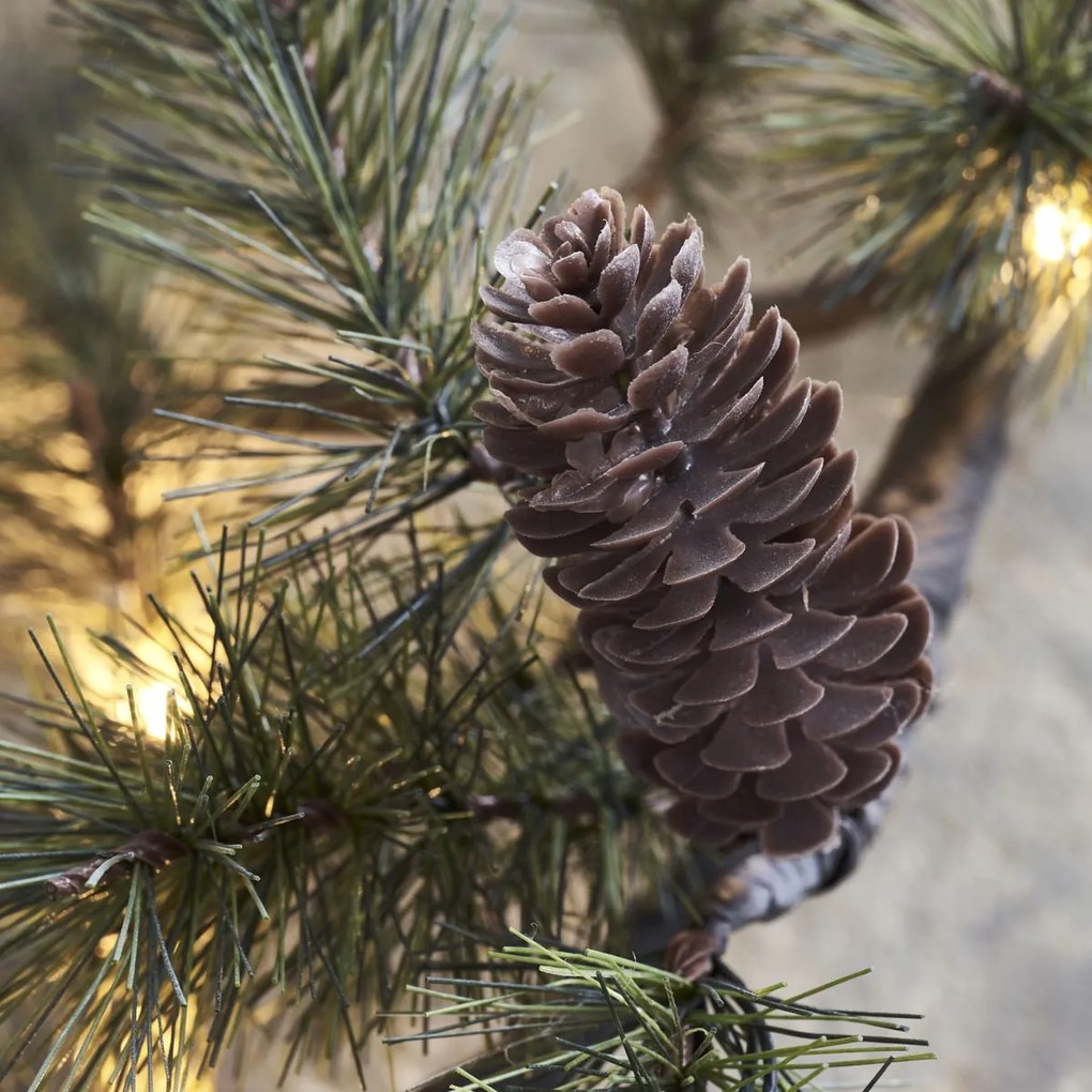 House Doctor Dekoratívna LED vetvička Peuce 80 cm