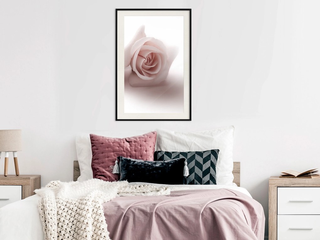 Artgeist Plagát - Rose Shadow [Poster] Veľkosť: 20x30, Verzia: Čierny rám s passe-partout