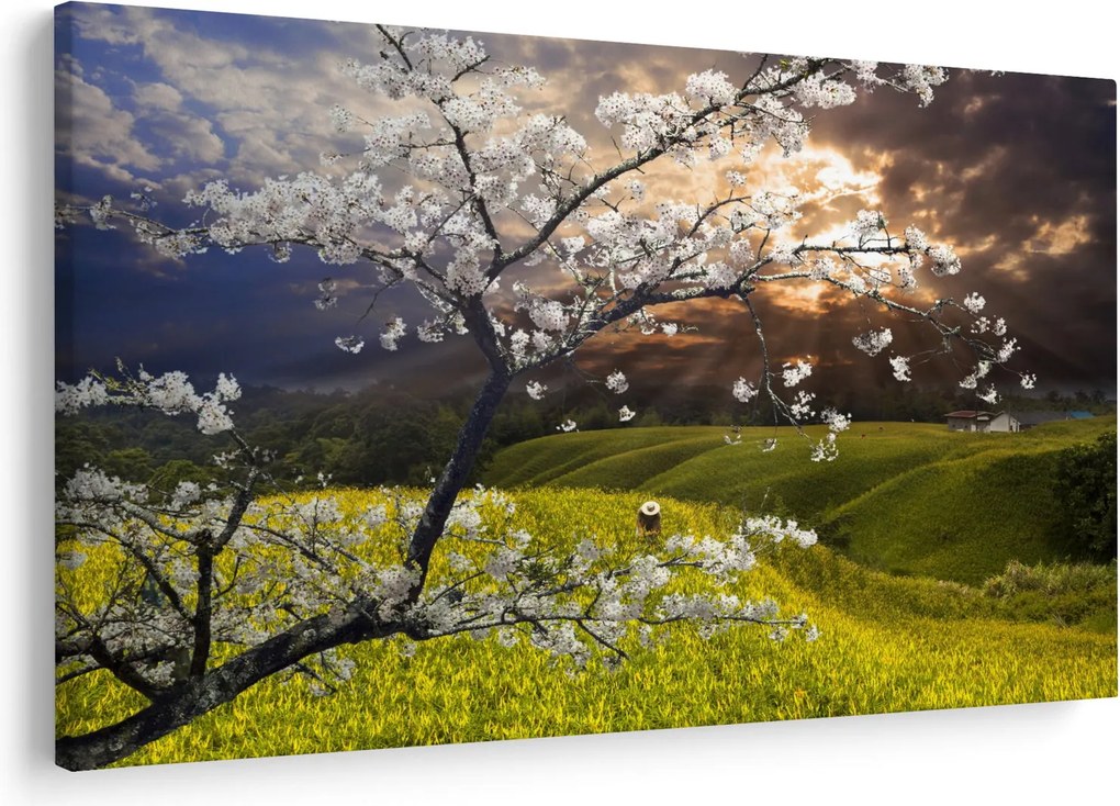 Obraz - Rozkvitnutý strom v krajine (90x60 cm)