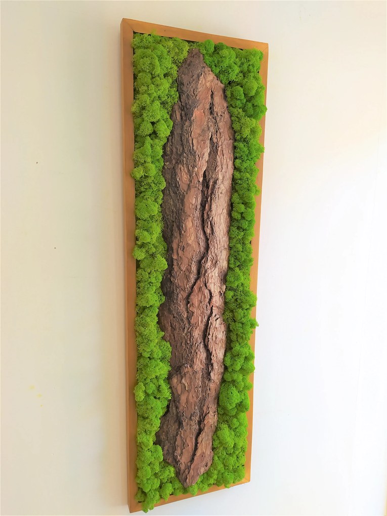 Machový obraz s kôrou 115cm x 35cm