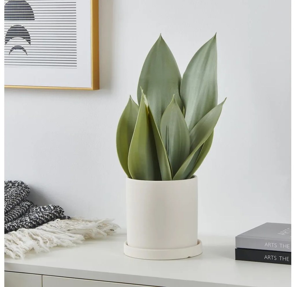 Eglo 428387 - Umelá rastlina v kvetináči TOBETSU 41,5x28,5 cm