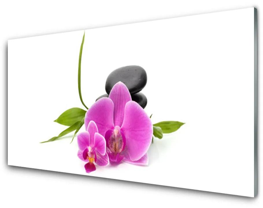 Obraz plexi Kvet kamene rastlina 120x60cm