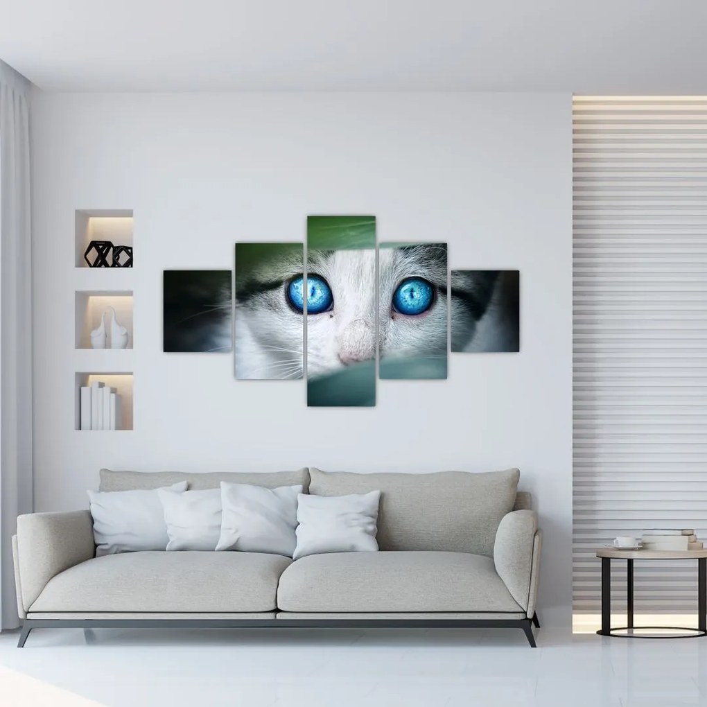 Obraz mačky (125x70 cm), 40 ďalších rozmerov