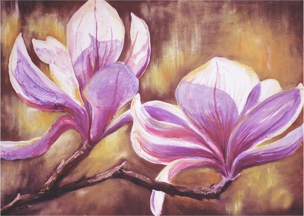 Obraz - Kvety magnólie (70x50 cm)