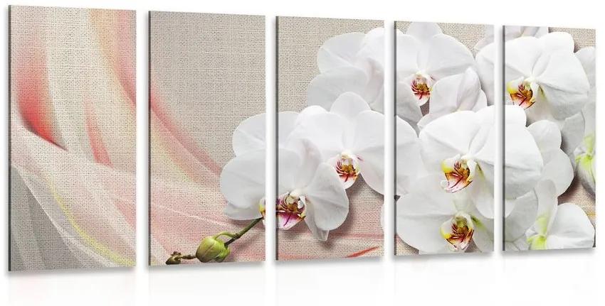 5-dielny obraz biela orchidea na plátne - 200x100