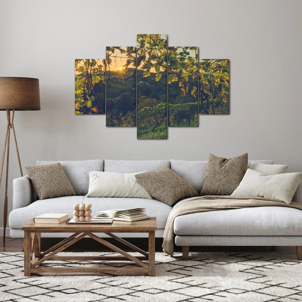 Obraz - Vinice (150x105 cm)