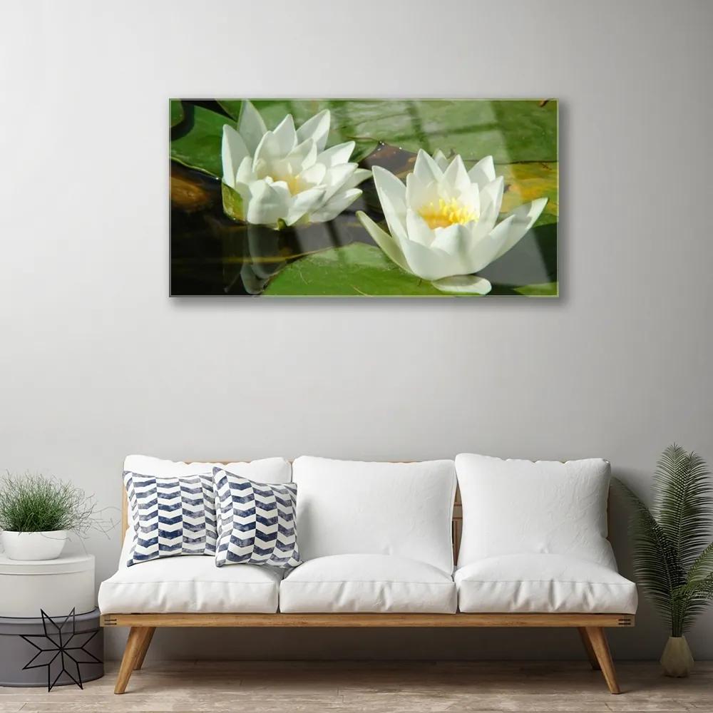 Skleneny obraz Kvety rastliny príroda 100x50 cm