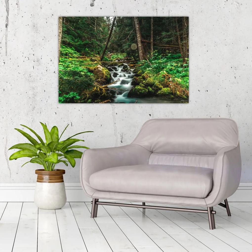 Obraz potoka v lese (90x60 cm)