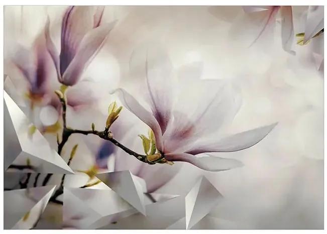 Samolepiaca fototapeta - Subtle Magnolias - First Variant Veľkosť: 196x140, Verzia: Samolepiaca