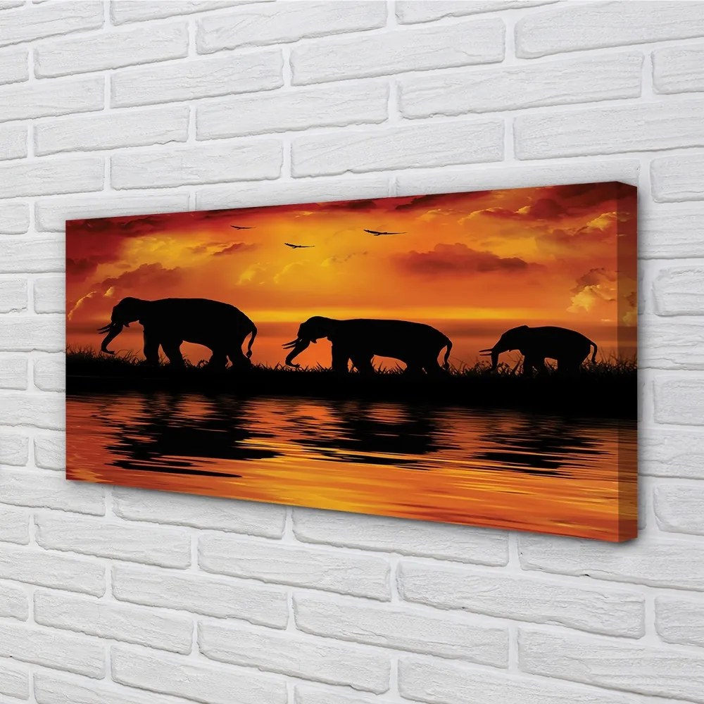 Obraz canvas slony West Lake 125x50 cm