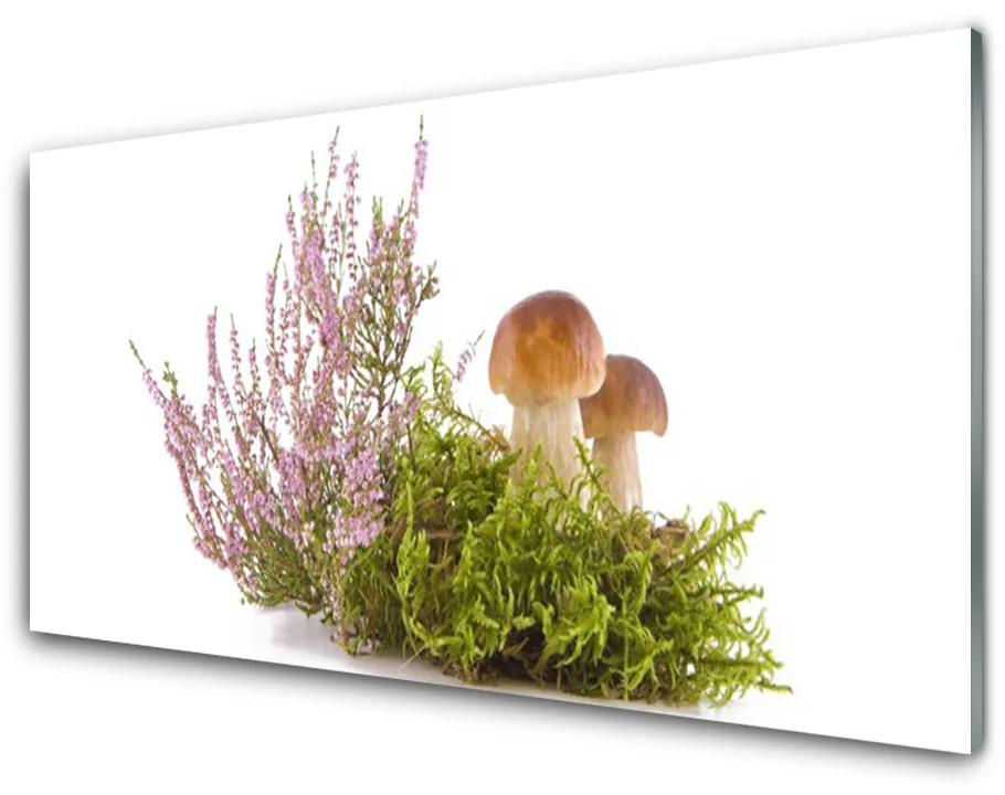 Obraz plexi Huby rastlina príroda 140x70cm