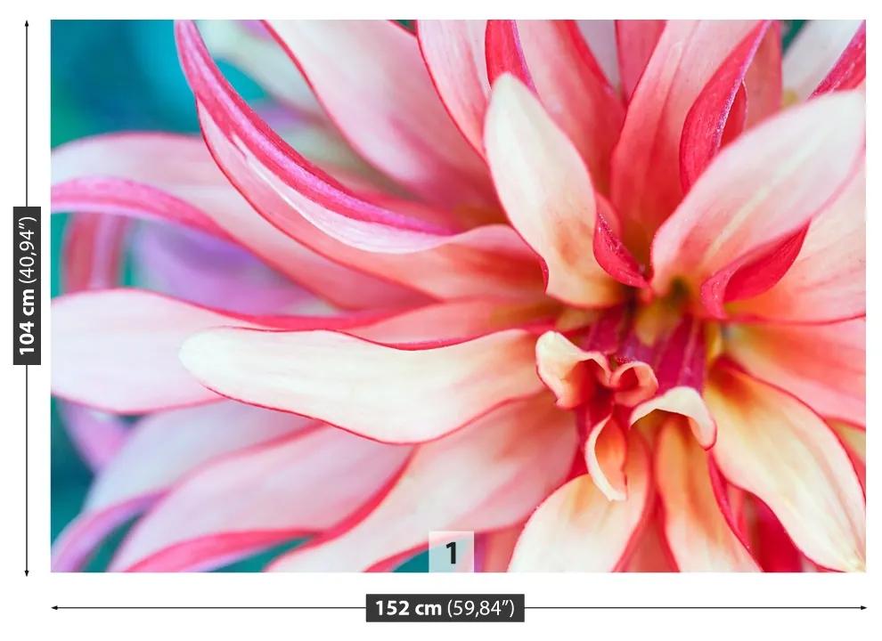 Fototapeta Vliesová Exotická kvetina 208x146 cm