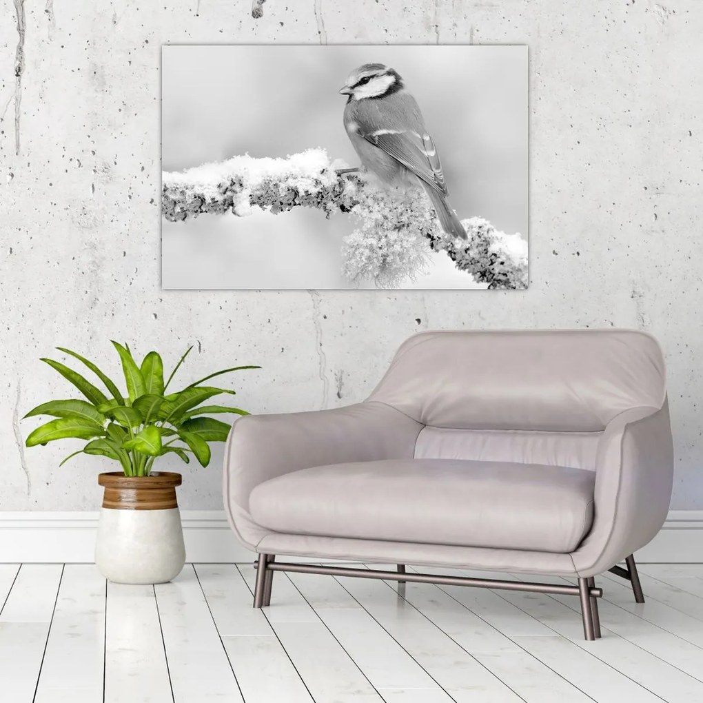 Obraz - Vtáčik na vetve (90x60 cm)