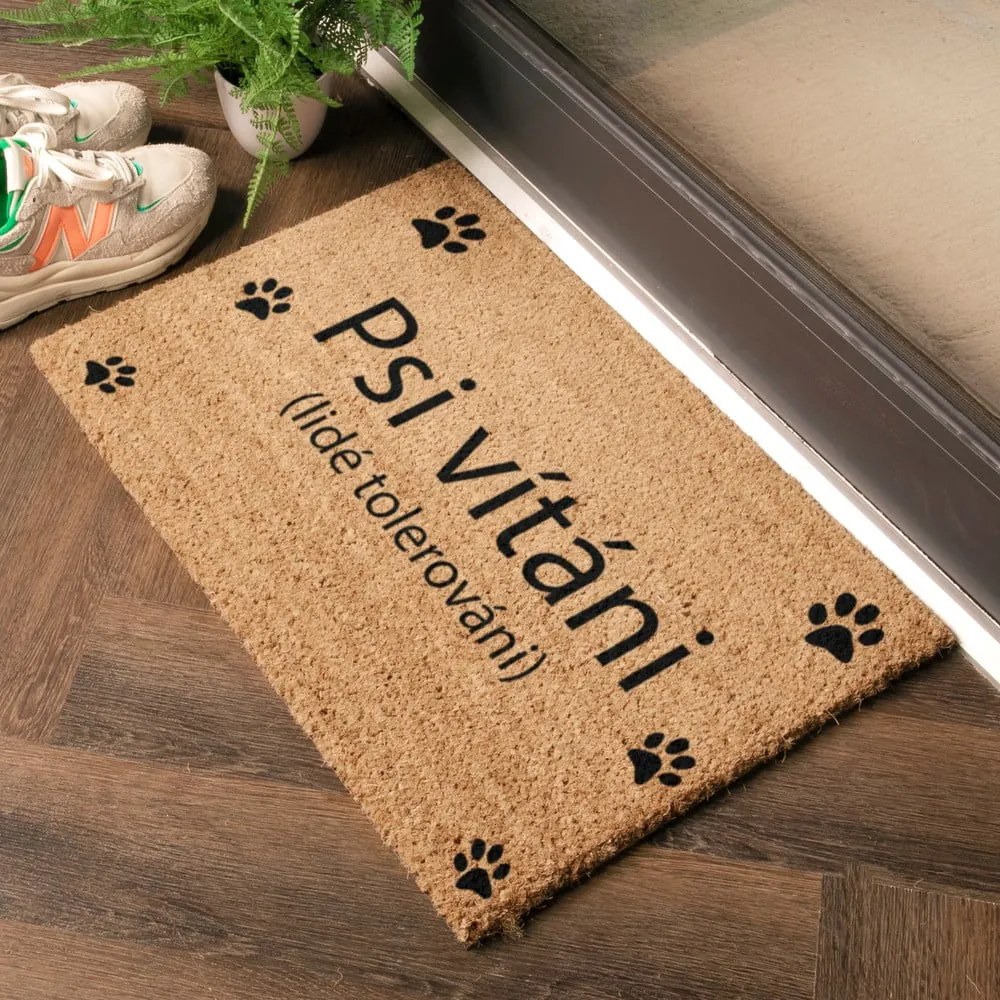 Rohožka z kokosového vlákna 40x60 cm Psi vítáni – Artsy Doormats
