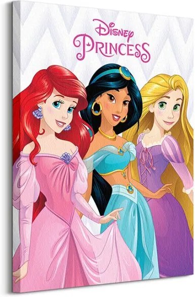Obraz na plátne Disney Princezny a (Ariel, Jasmine and Rapunzel) 60x80cm WDC99415