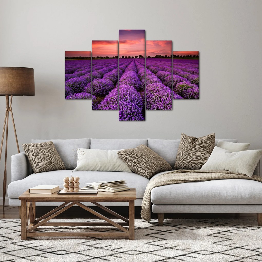 Obraz - Levanduľové pole (150x105 cm)