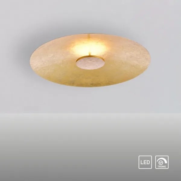 Paul Neuhaus 8132-12 - LED Stmievateľné stropné svietidlo PLATE LED/25W/230V