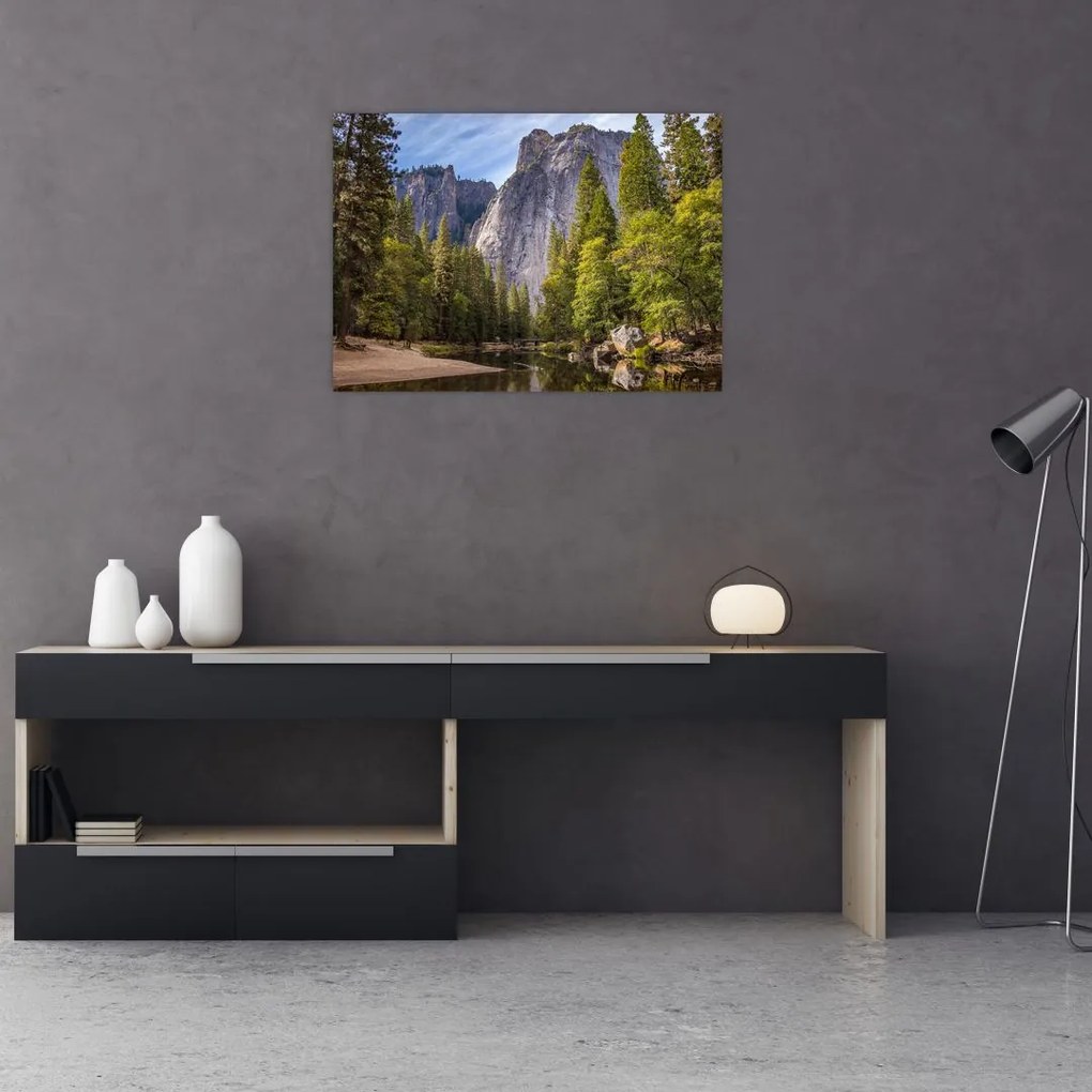 Obraz - Pod Yosemite skalou (70x50 cm)