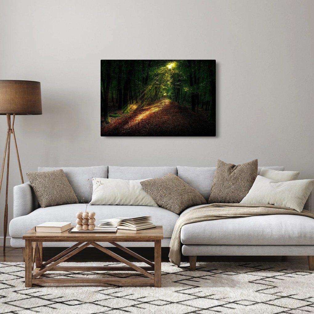 Obraz lesnej cesty (90x60 cm)