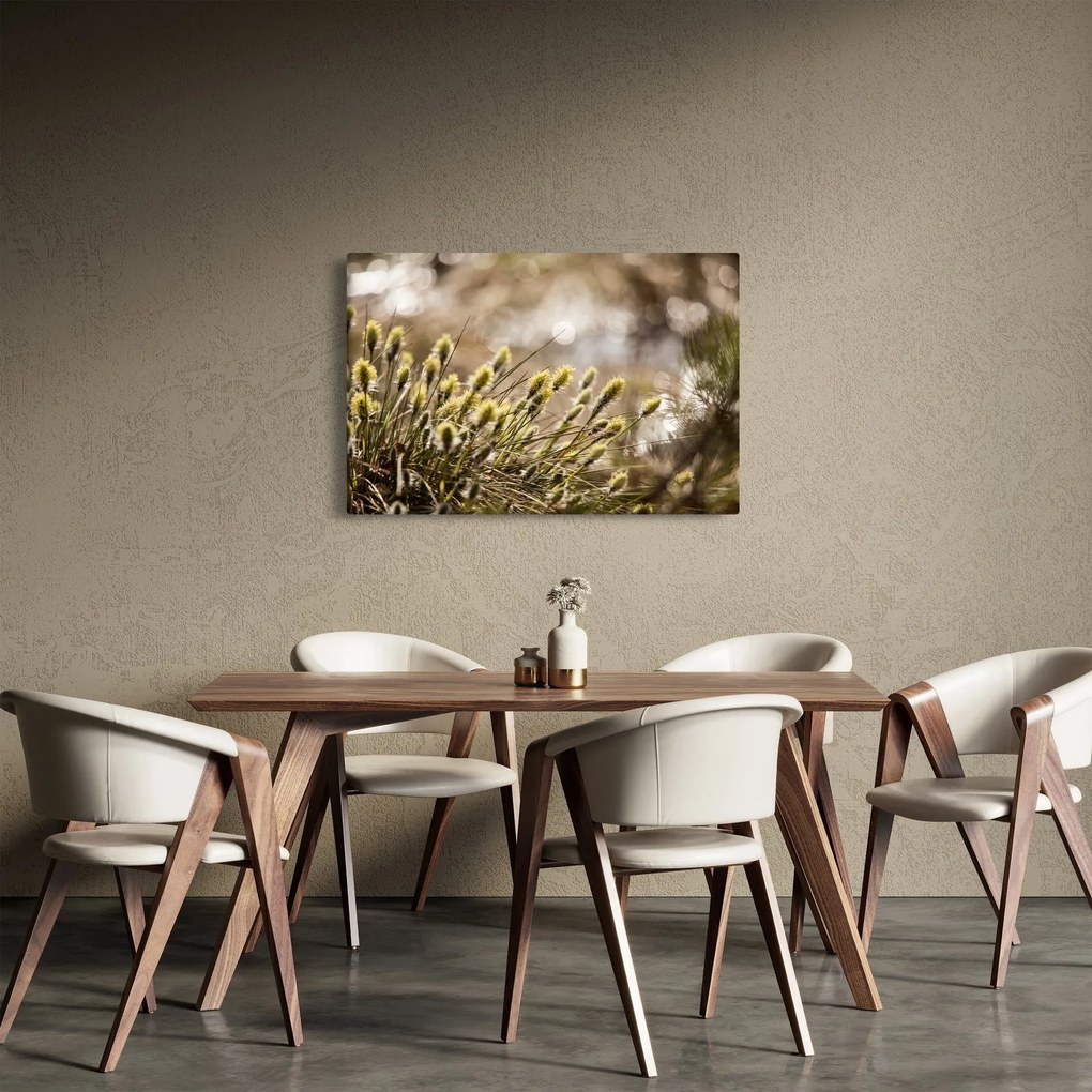 Obraz - Zeleň (90x60 cm)