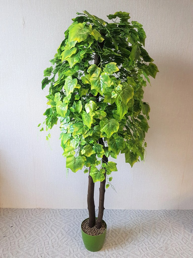 Hrozno zelené 180 cm