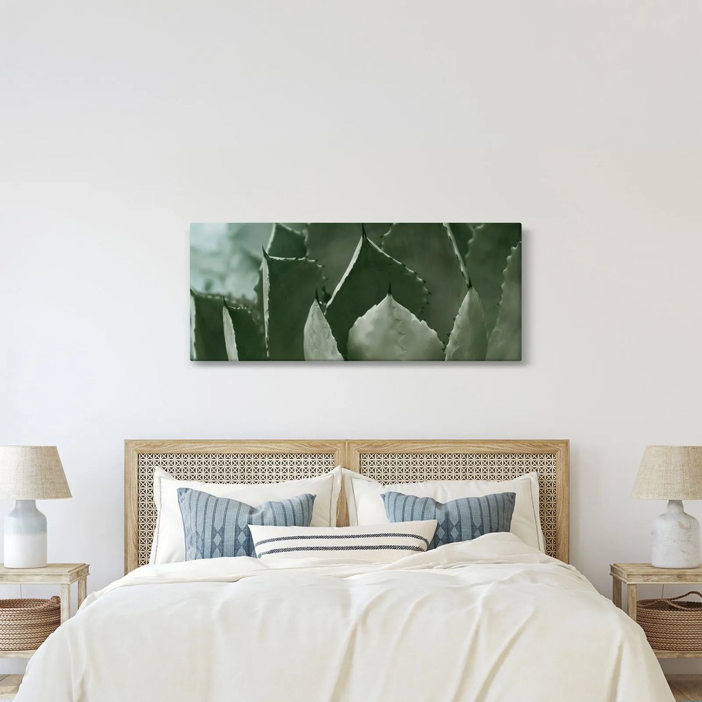 Obraz - Zelená agáve (120x50 cm)